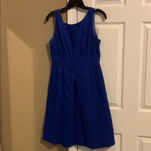 Fun high neck Royal blue JCrew dress size 8